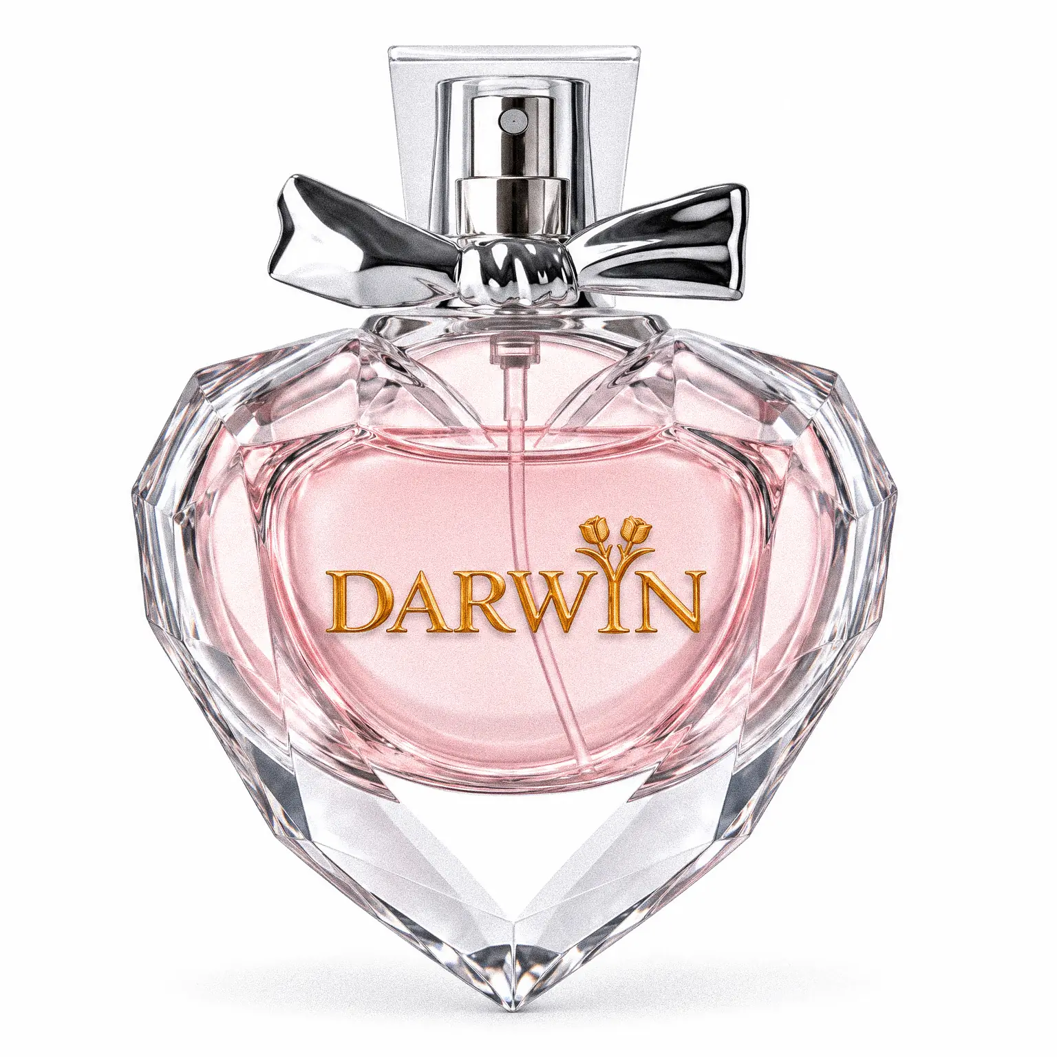 Maison Darwin — Valentin Waterlot parfumeur